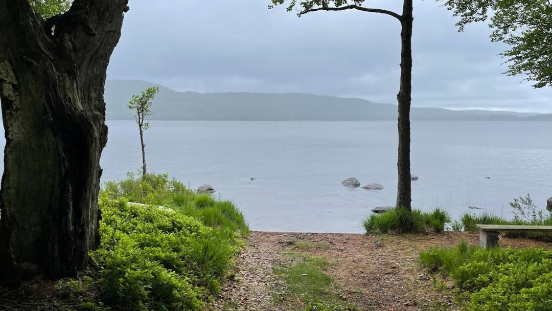 Photo of Others in Munka-Ljungby