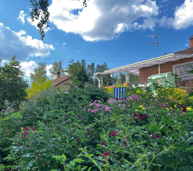 Photo of Outdoor in Falun