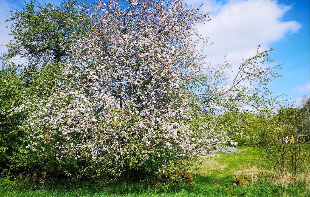 Photo of Outdoor in Berghem