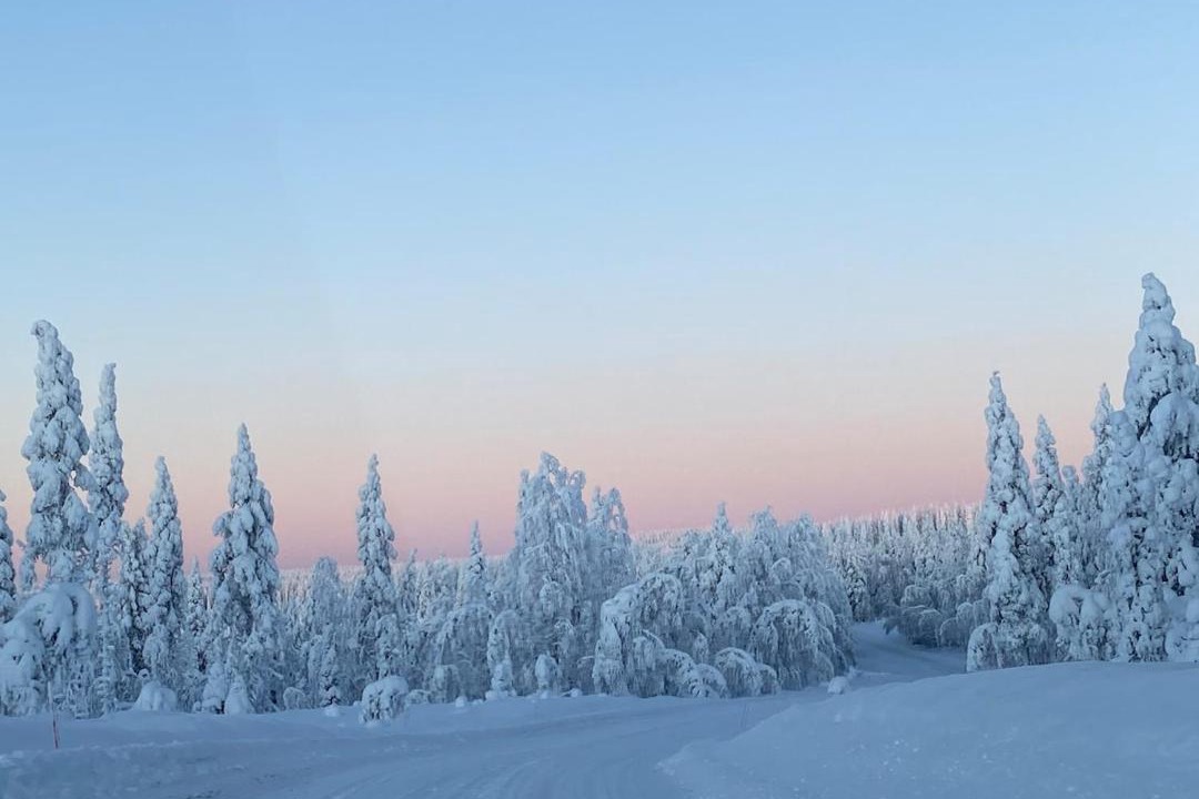 Photo of Others in Rovaniemi
