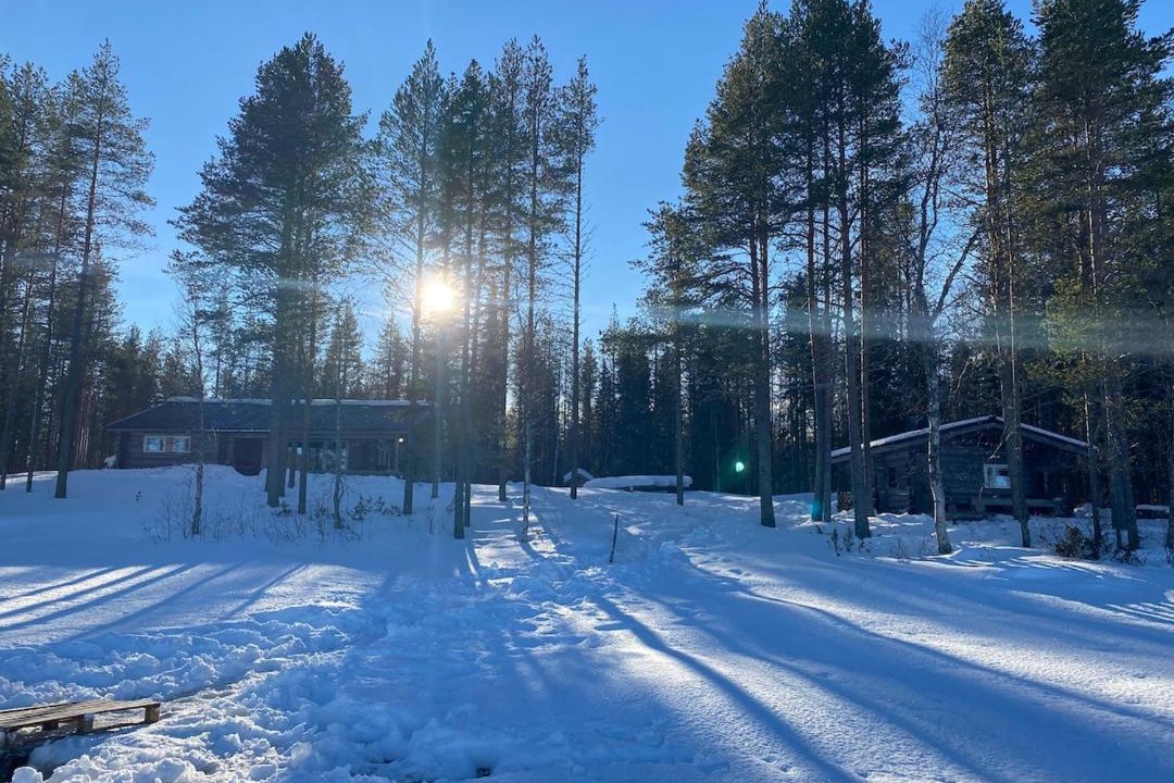 Photo of Others in Rovaniemi