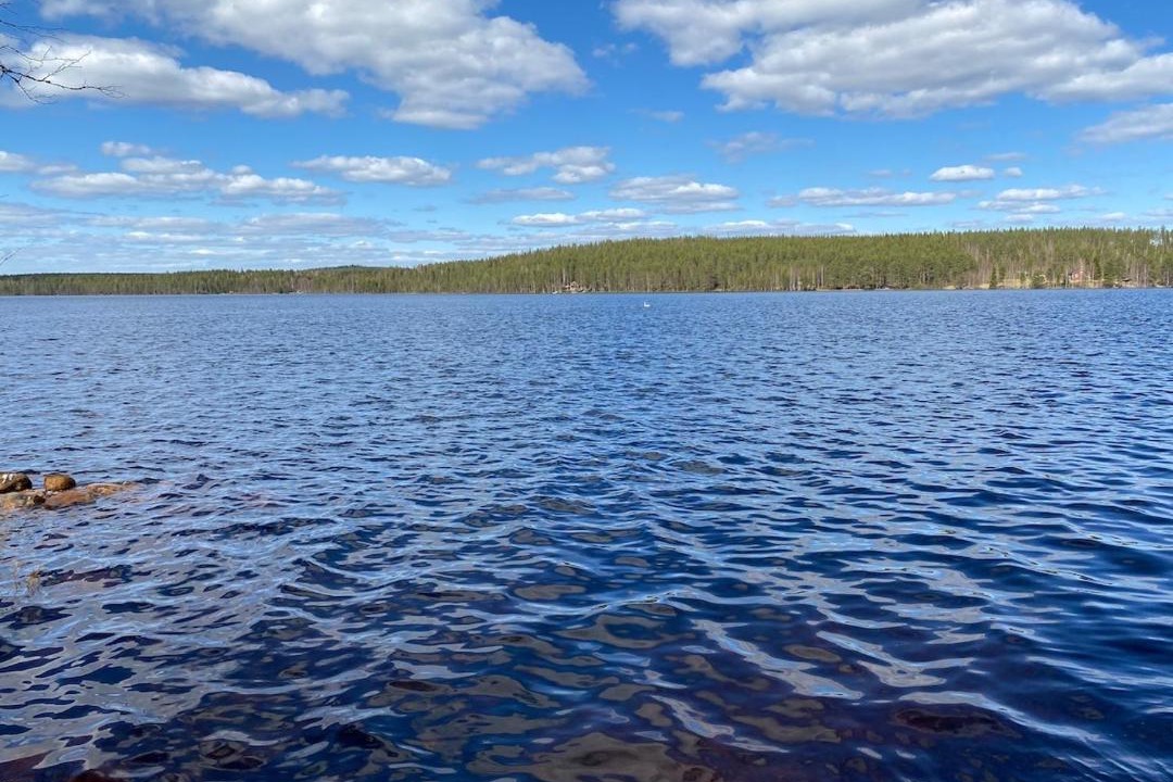 Photo of Others in Rovaniemi