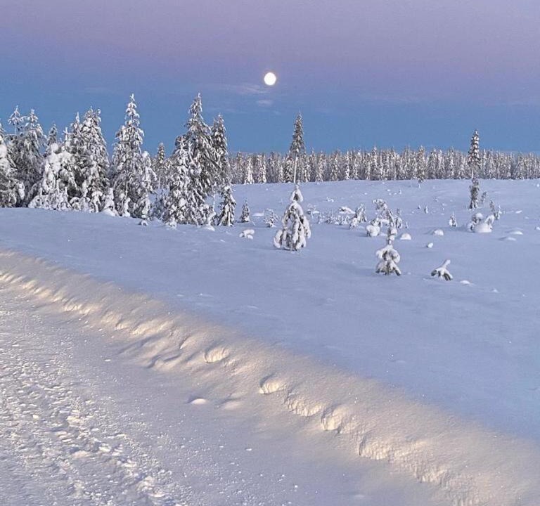 Photo of Others in Rovaniemi