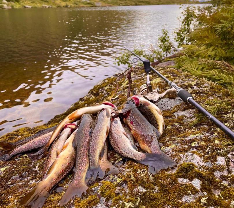 Photo of Others in Fidjeland