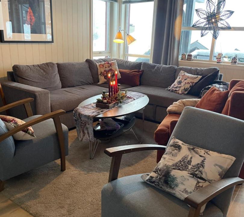 Photo of Livingroom in Myrkdalen
