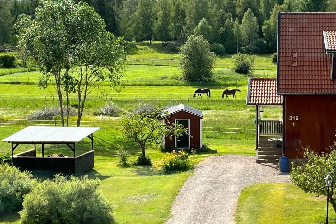 Photo of Others in Tierp