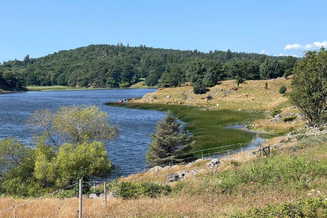Photo of Others in Farsund