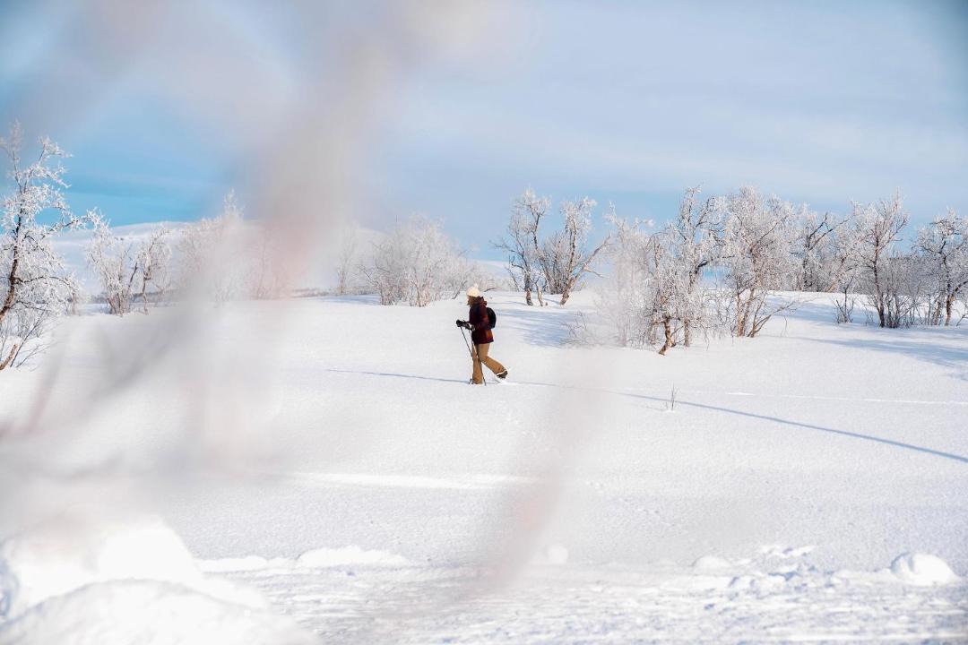Photo of Others in Kilpisjarvi