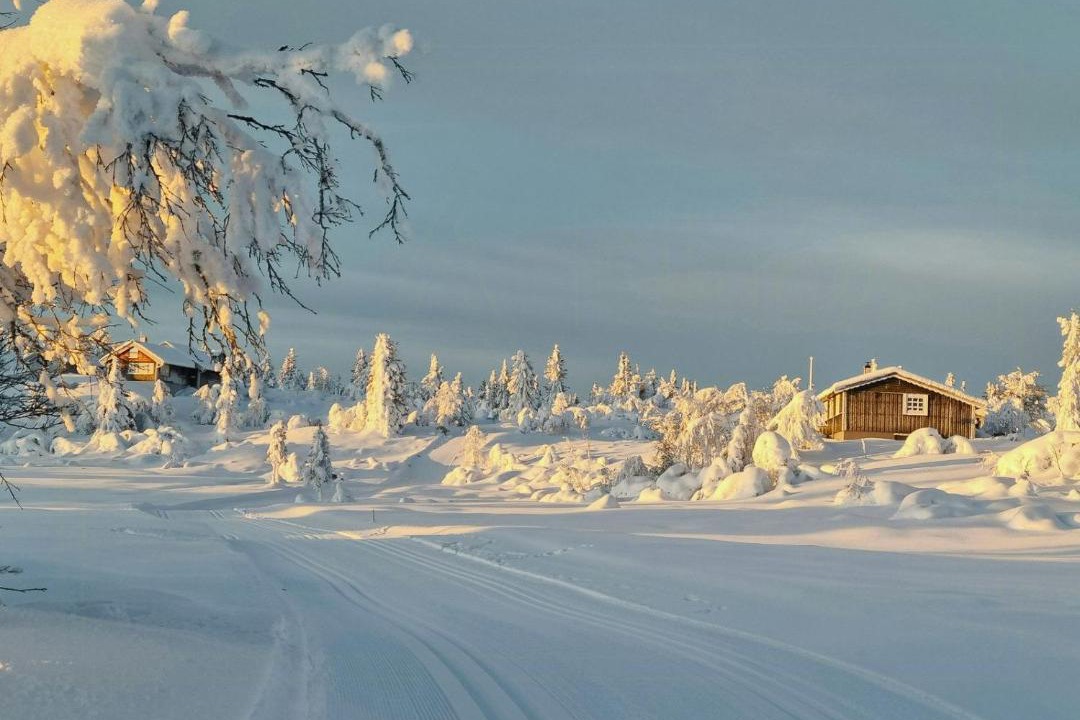 Photo of Others in Sor-Aurdal