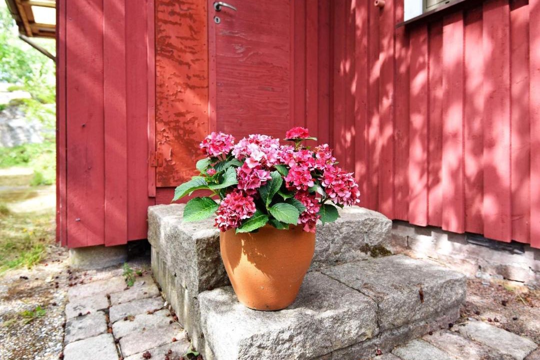Photo of Others in Brastad