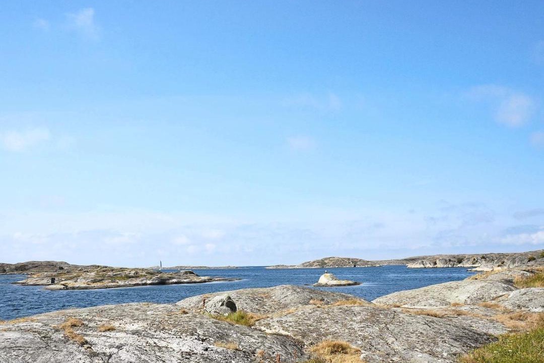 Photo of Others in Halleviksstrand