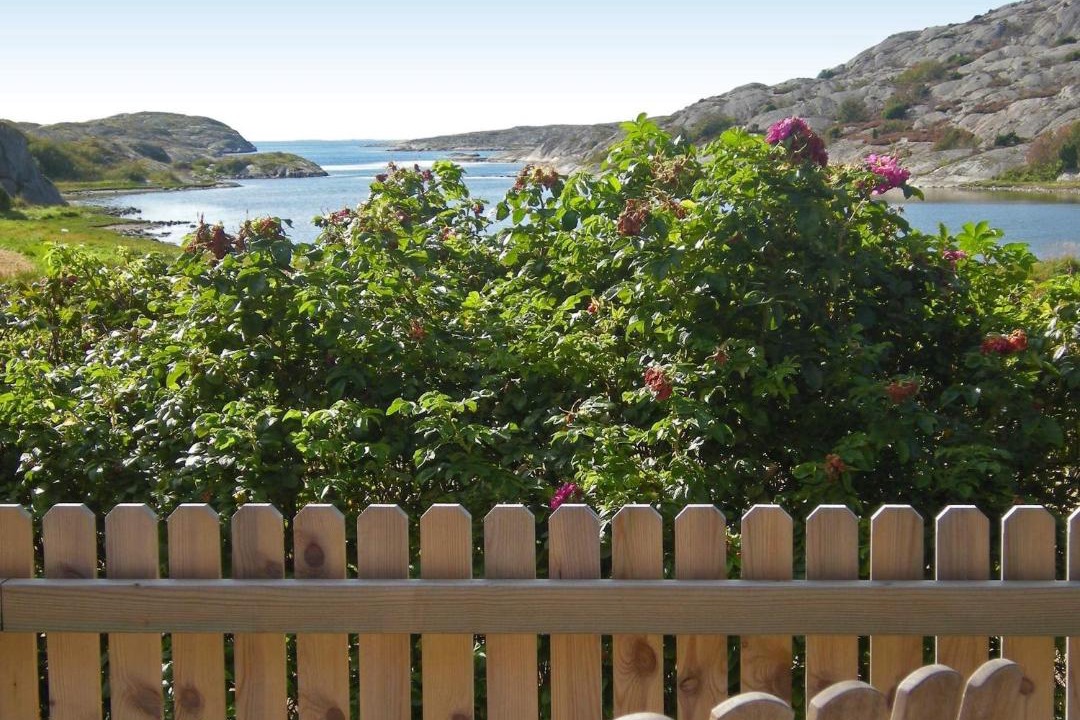 Photo of Others in Halleviksstrand