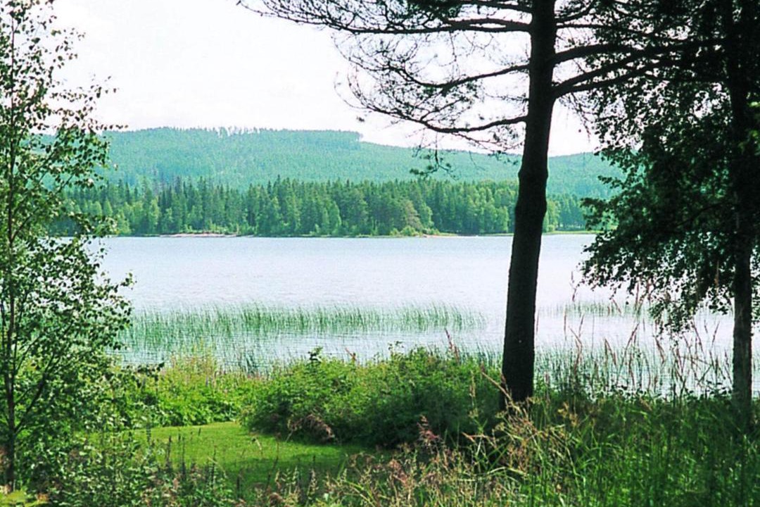 Photo of Others in Overbyn