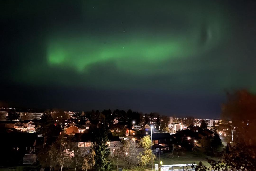 Photo of Others in Trondheim