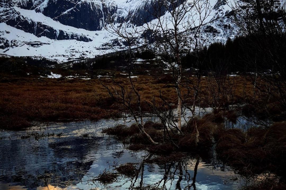 Photo of Others in Flakstad