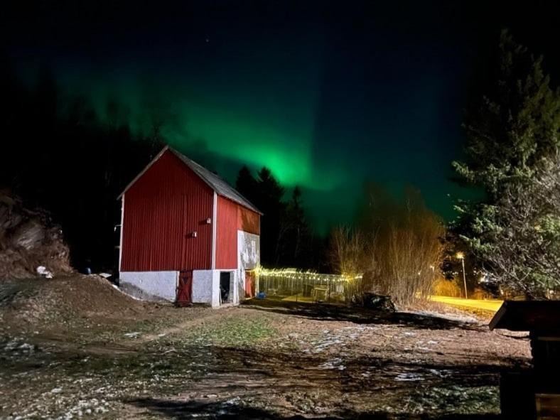 Photo of Others in Flakstad