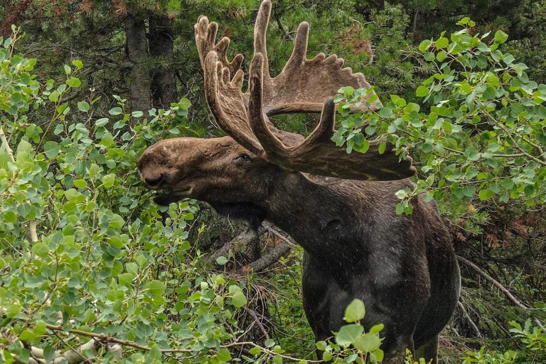 Photo of Others in Braas