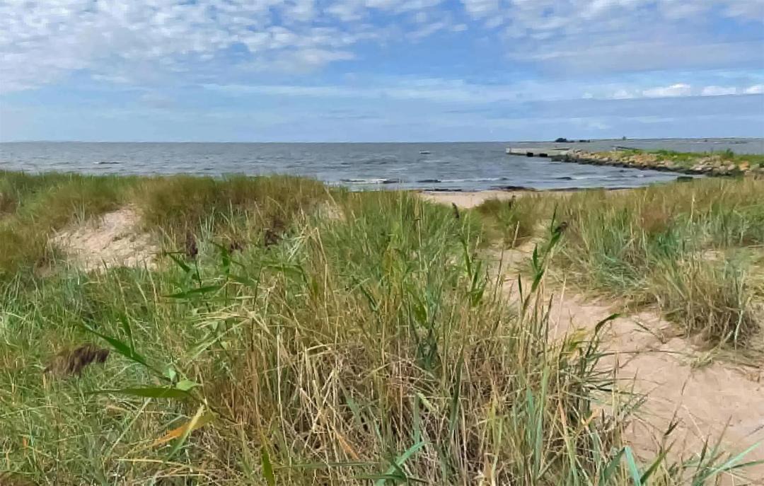 Photo of Others in Gotlands Tofta