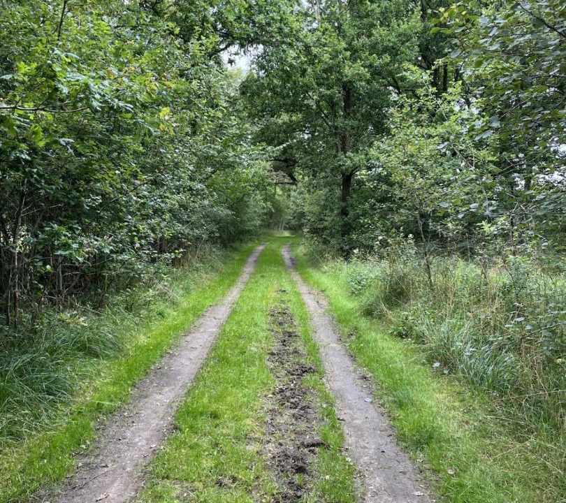 Photo of Outdoor in Kagerod