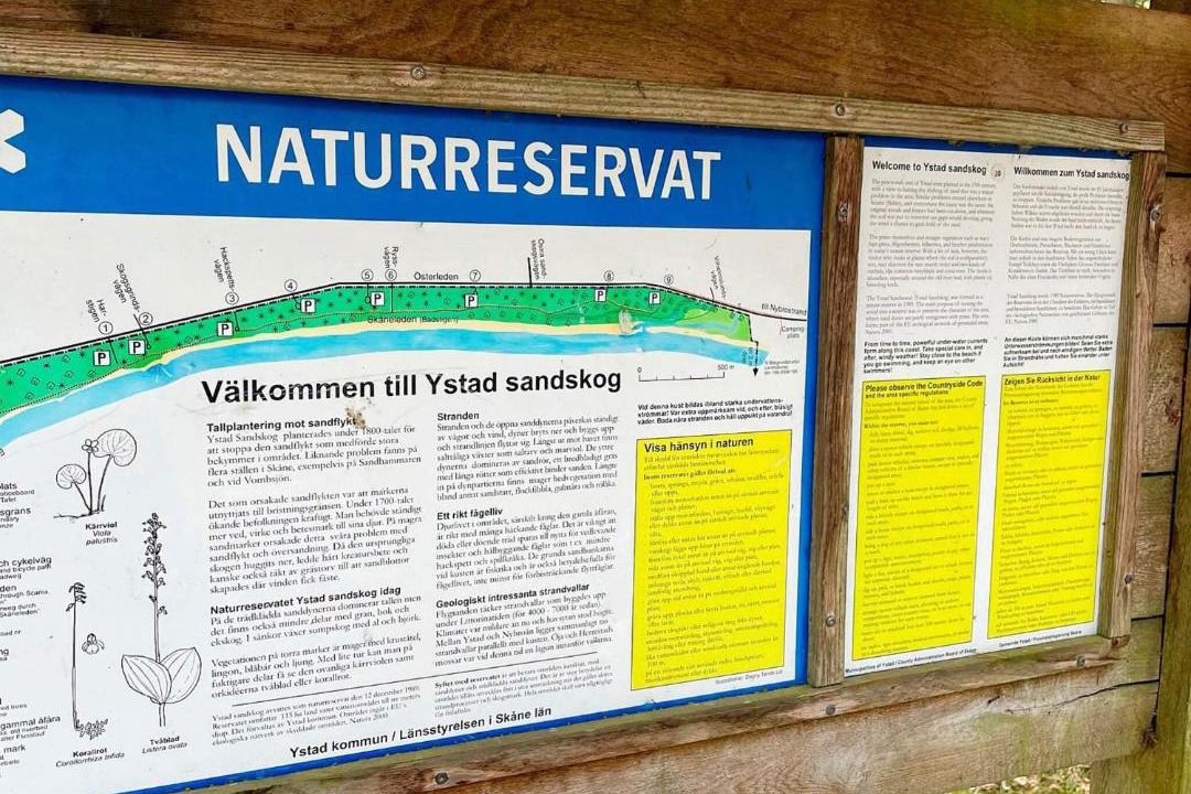 Photo of Others in Ystad