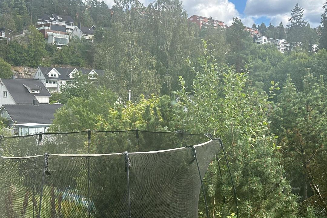 Photo of Others in Oslo