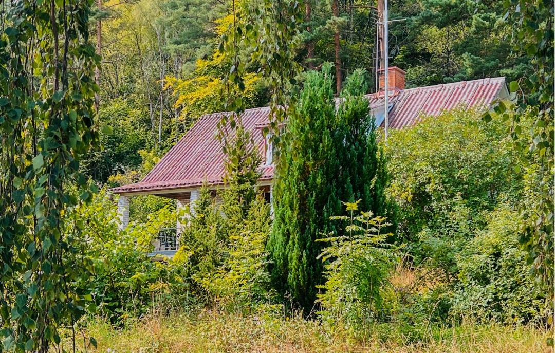Photo of Others in Omberg