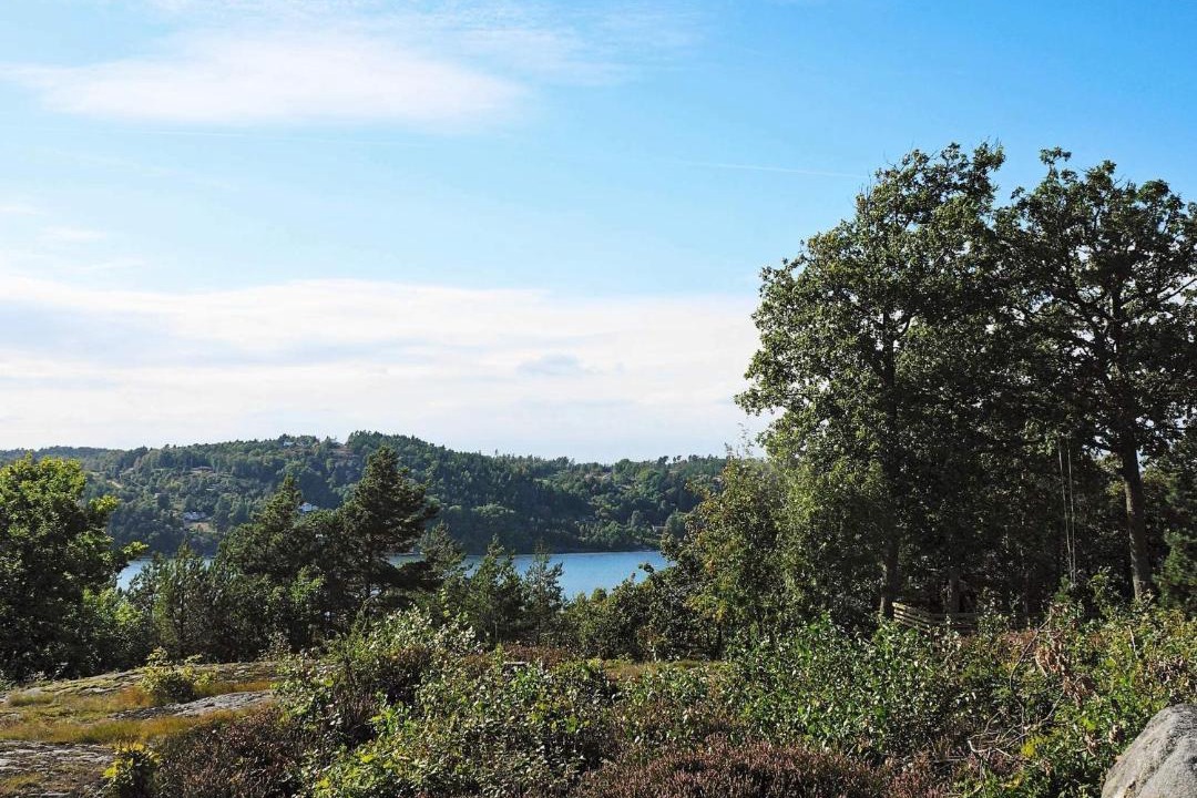 Photo of Others in Ljungskile
