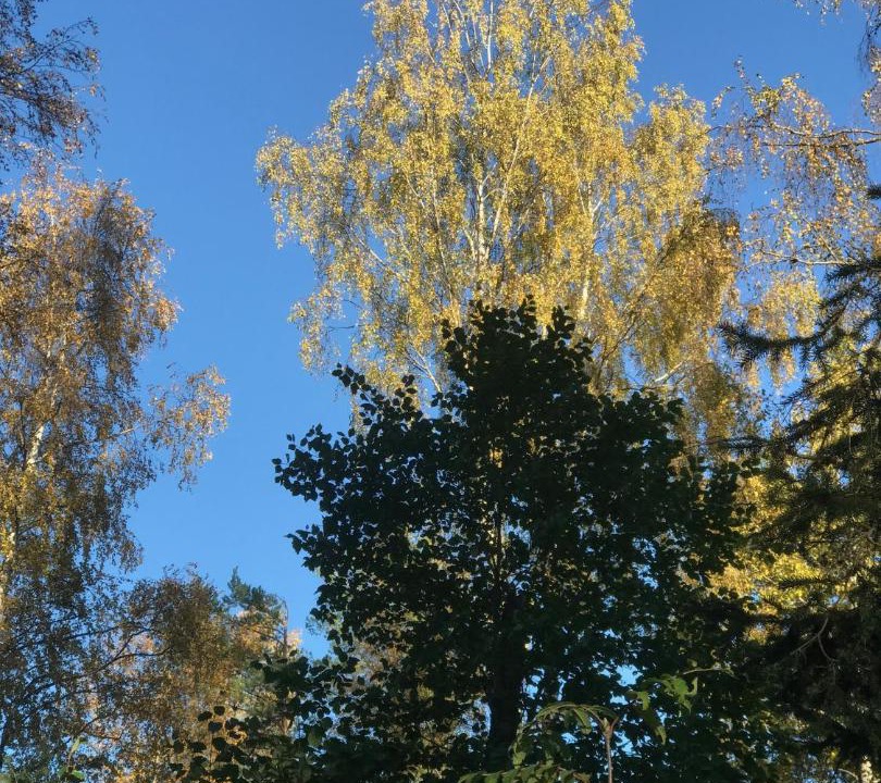 Photo of Others in Strombacka