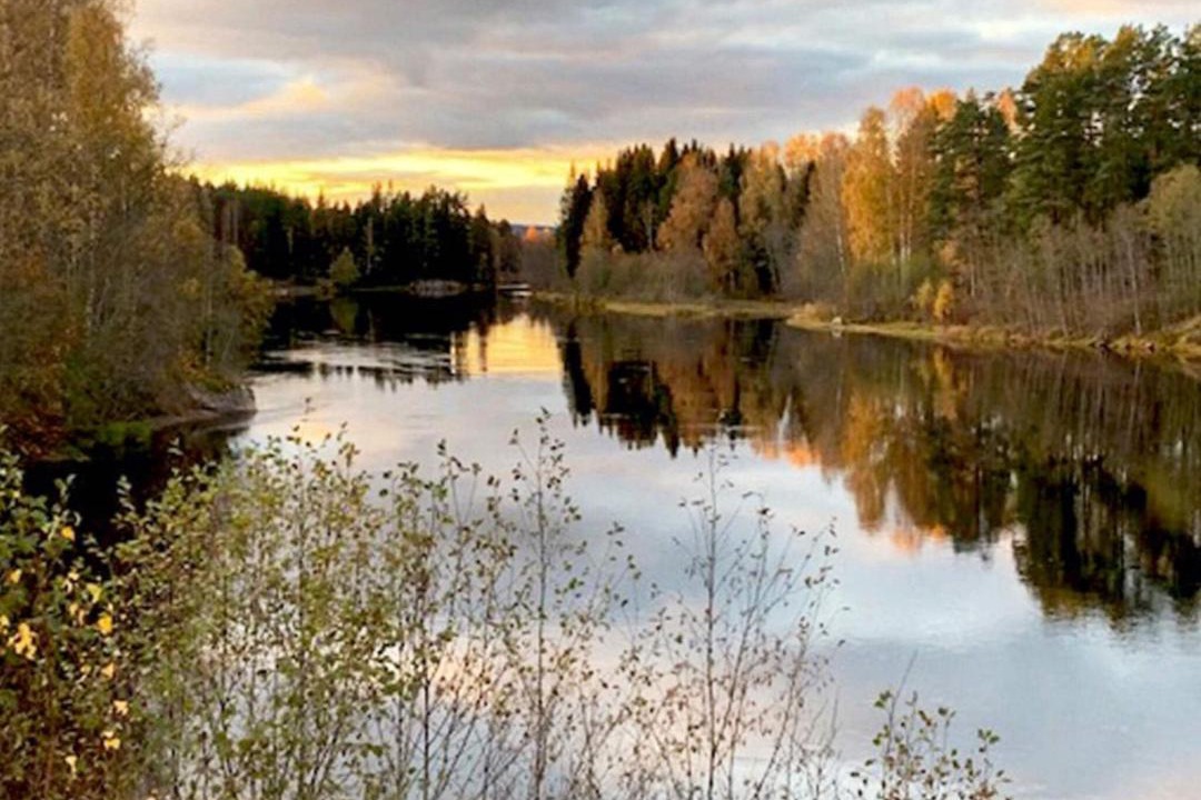 Photo of Others in Hagfors Municipality