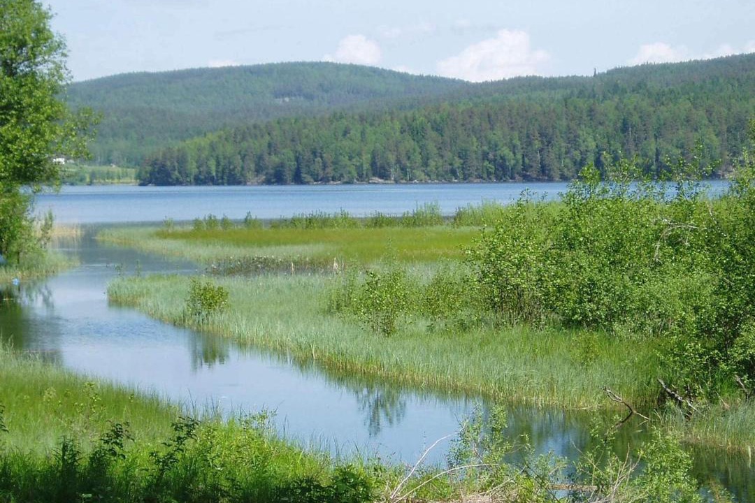 Photo of Others in Arvika Municipality