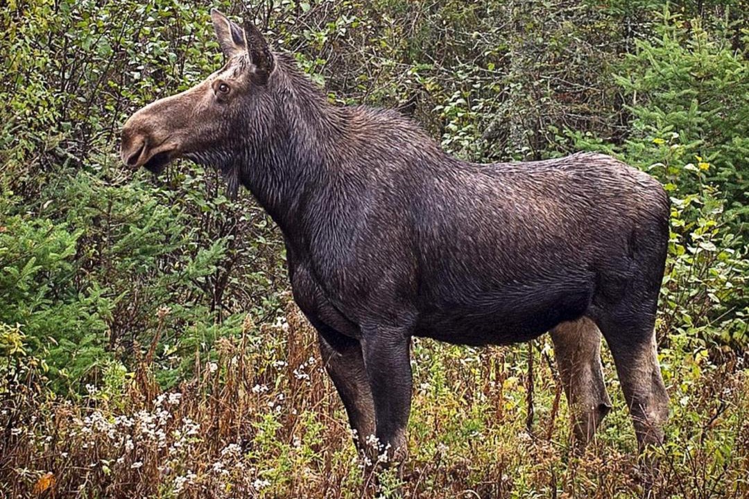 Photo of Others in Stoten