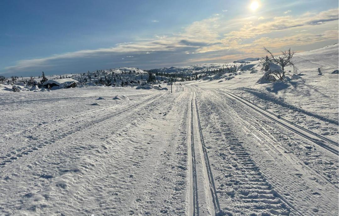 Photo of Others in Trysil