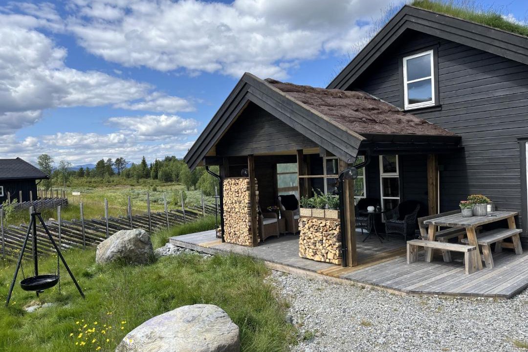 Photo of Others in Golsfjellet
