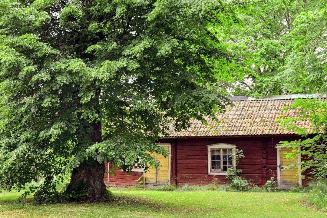 Photo of Others in Bocklinge