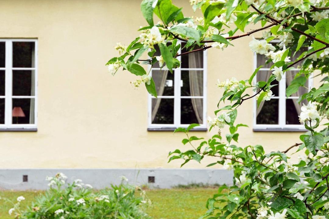 Photo of Others in Bocklinge
