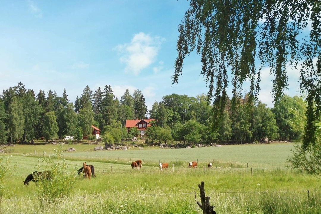 Photo of Others in Bocklinge