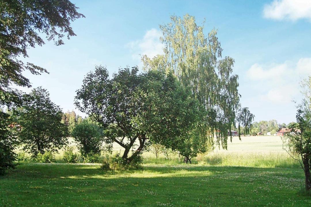 Photo of Others in Bocklinge