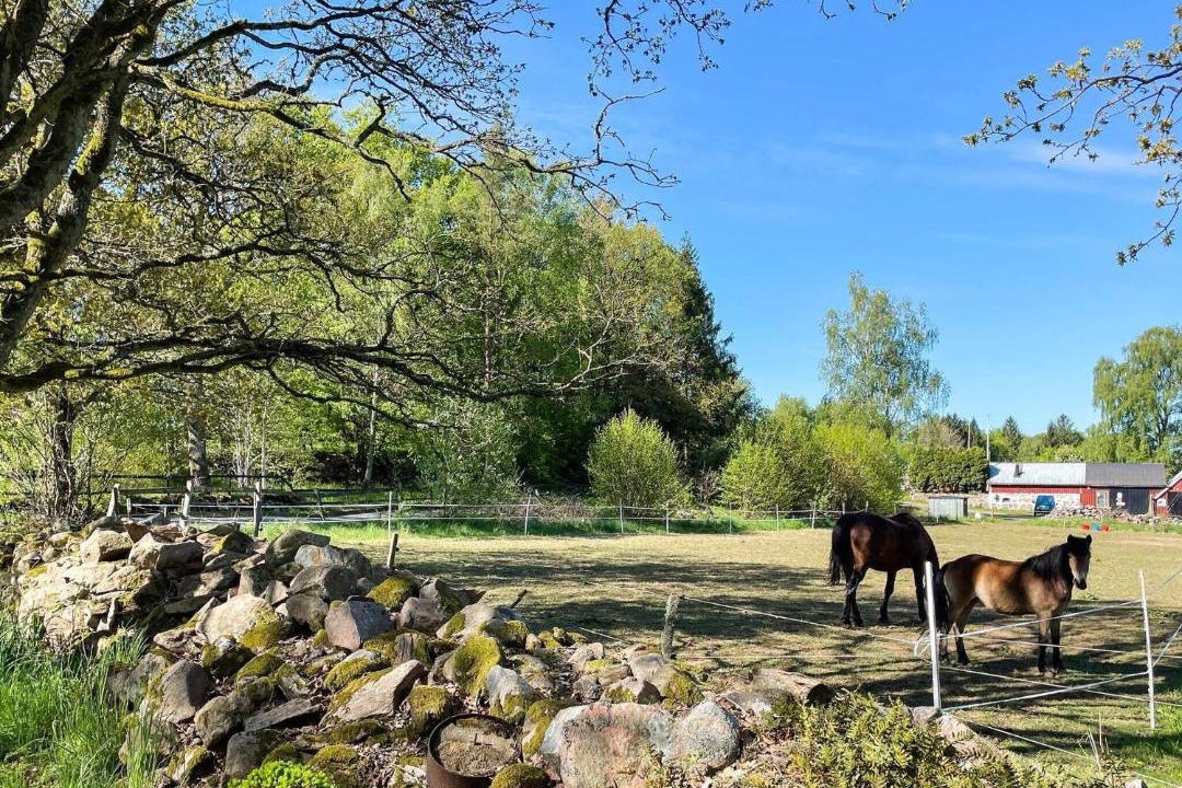 Photo of Others in Klippan