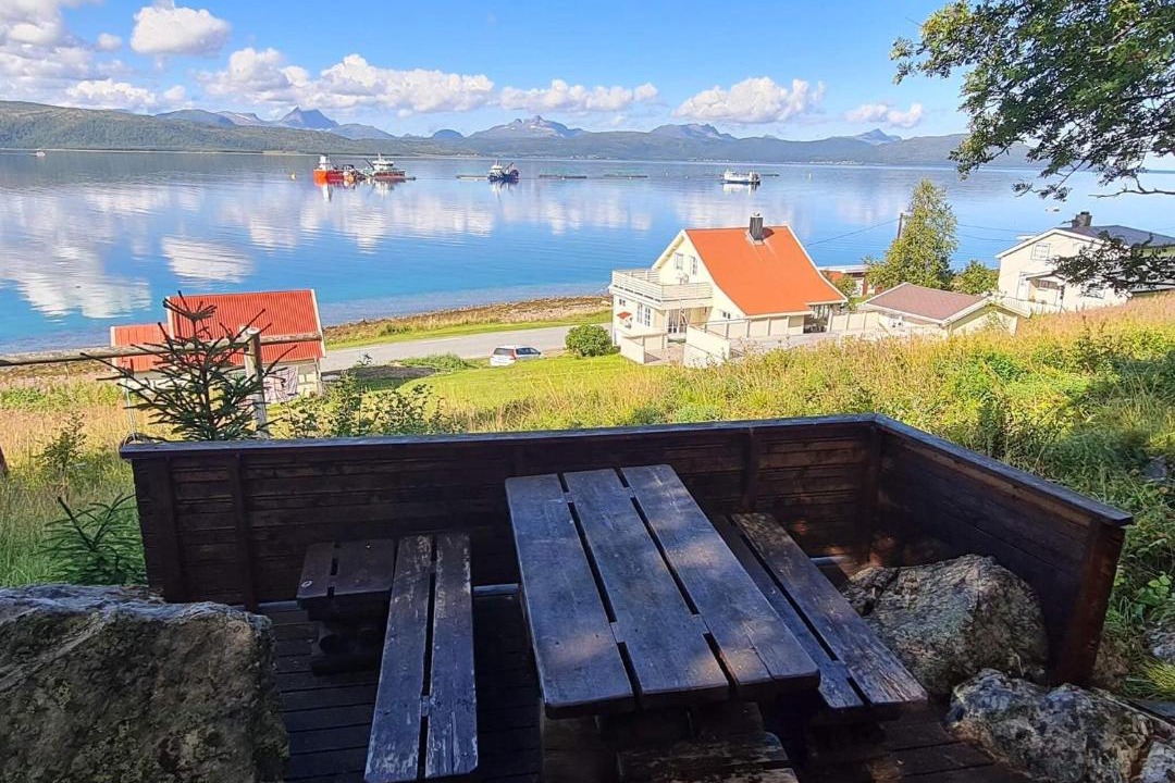 Photo of Others in Lenvik
