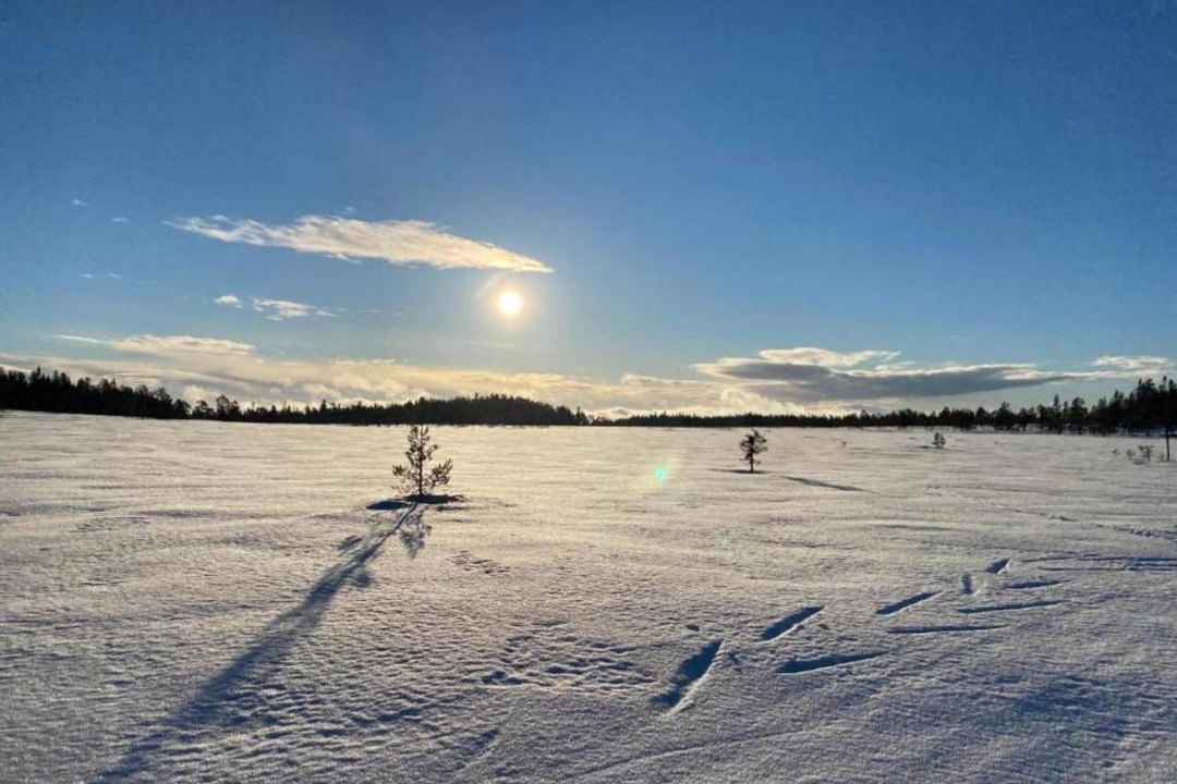 Photo of Others in Letafors