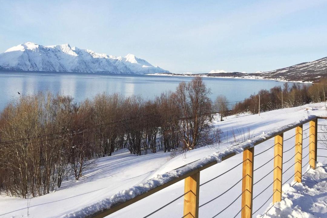Photo of Others in Lyngen