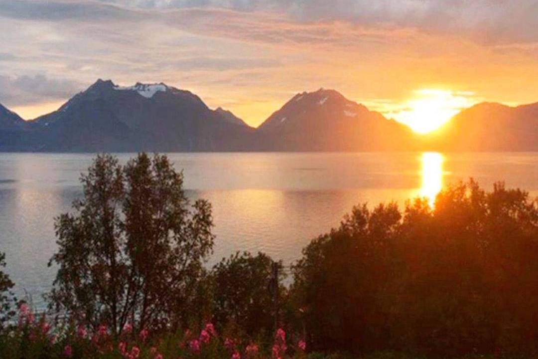 Photo of Others in Lyngen