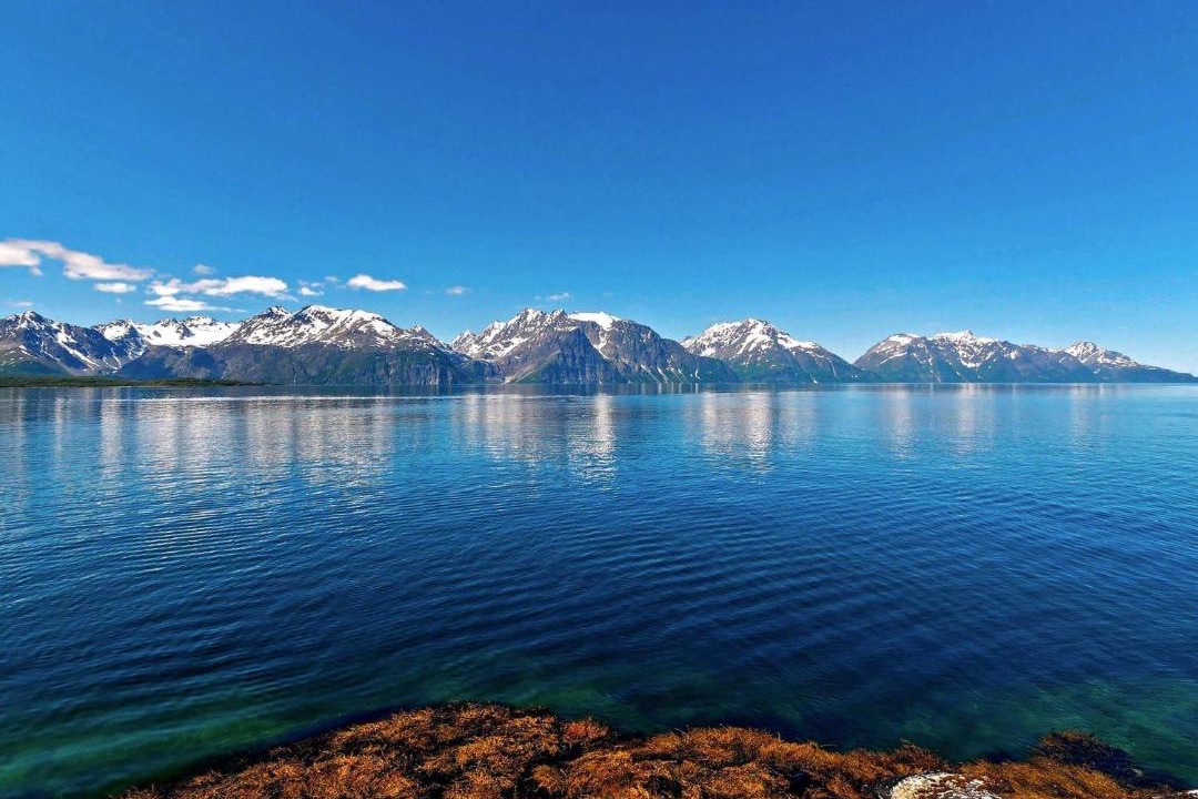 Photo of Others in Lyngen