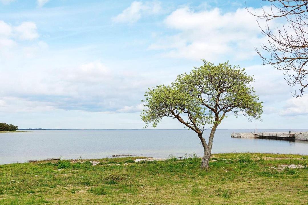 Photo of Others in Katthammarsvik