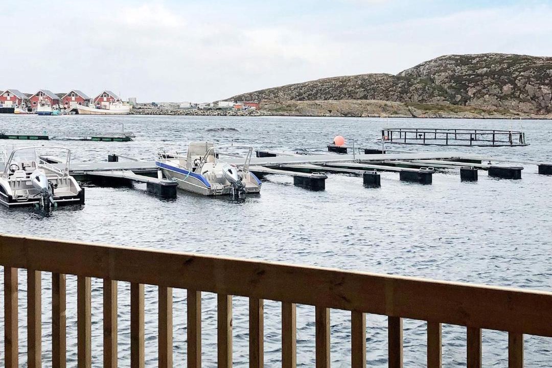 Photo of Others in Dyrvik