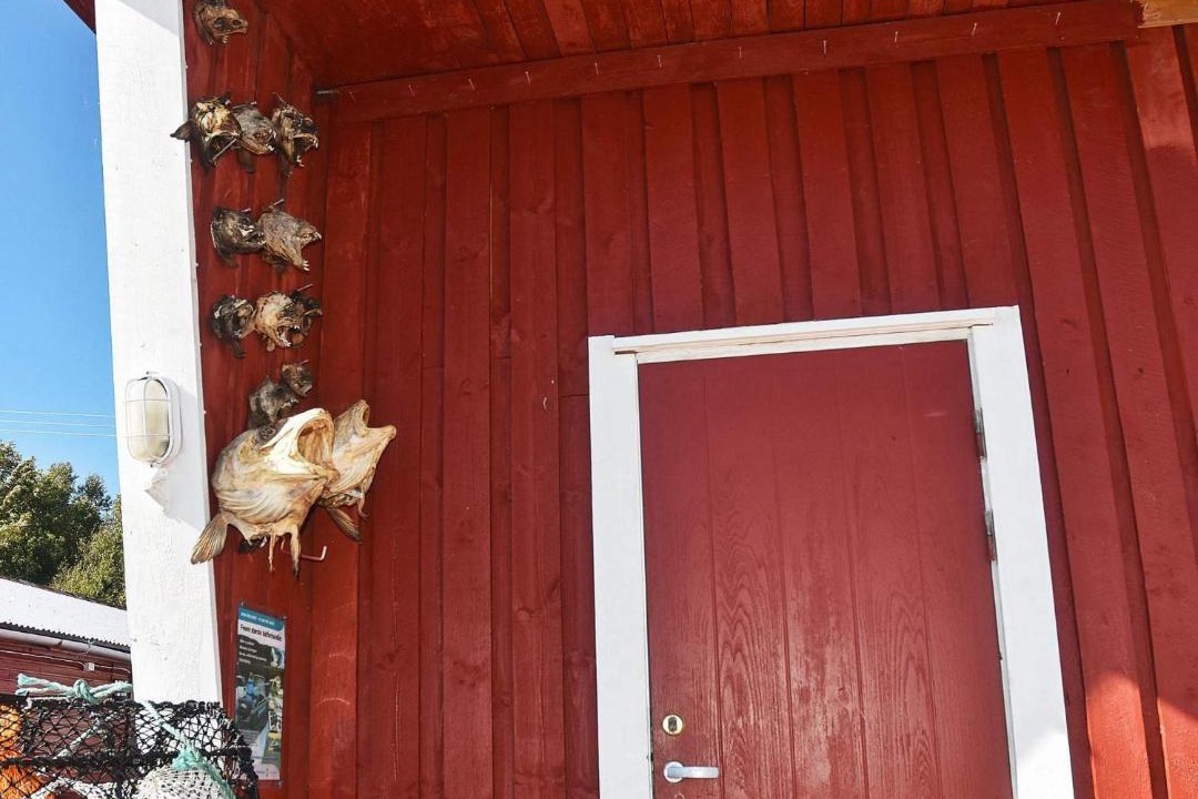 Photo of Others in Oksvoll