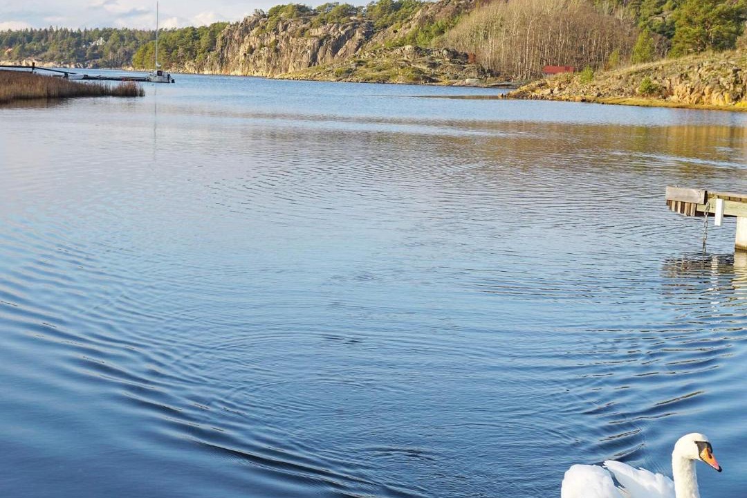 Photo of Others in Lokholmen