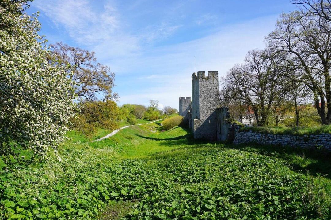 Photo of Others in Tingstade