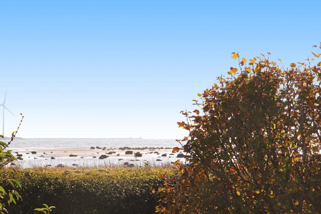 Photo of Others in Falkenberg