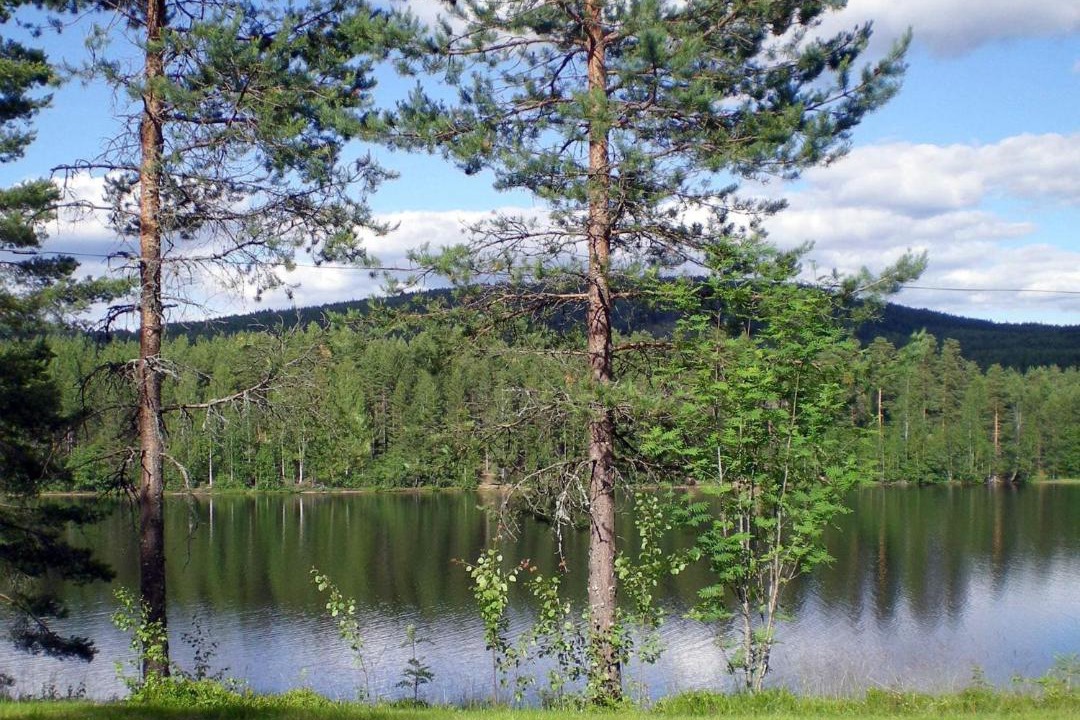 Photo of Others in Marbacken